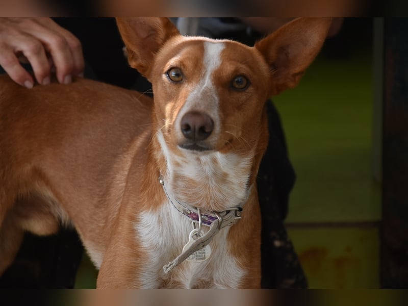 Kiriko, wer verliebt sich in ihn