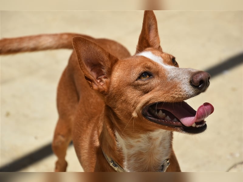 Kiriko, wer verliebt sich in ihn