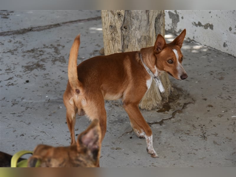 Kiriko, wer verliebt sich in ihn