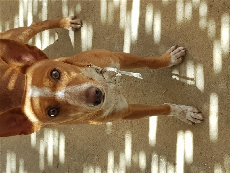 Kiriko, wer verliebt sich in ihn