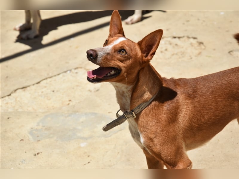 Kiriko, wer verliebt sich in ihn