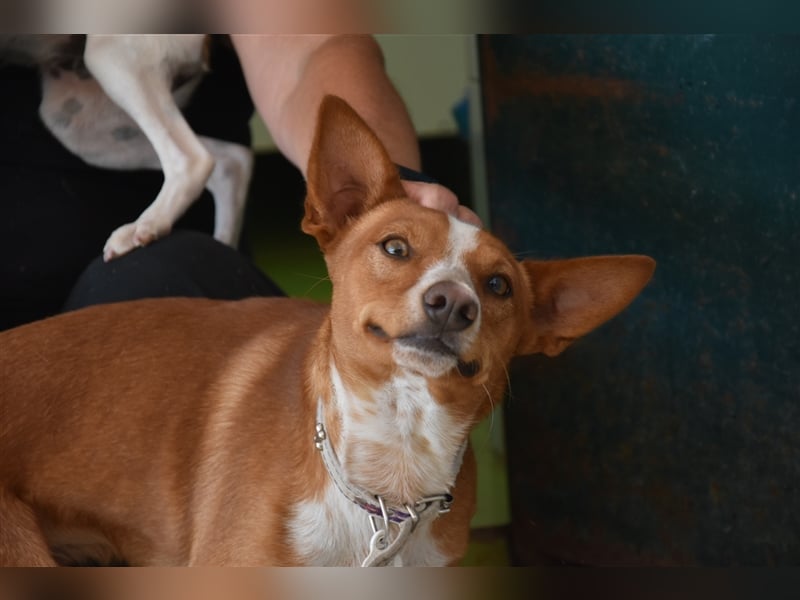 Kiriko, wer verliebt sich in ihn