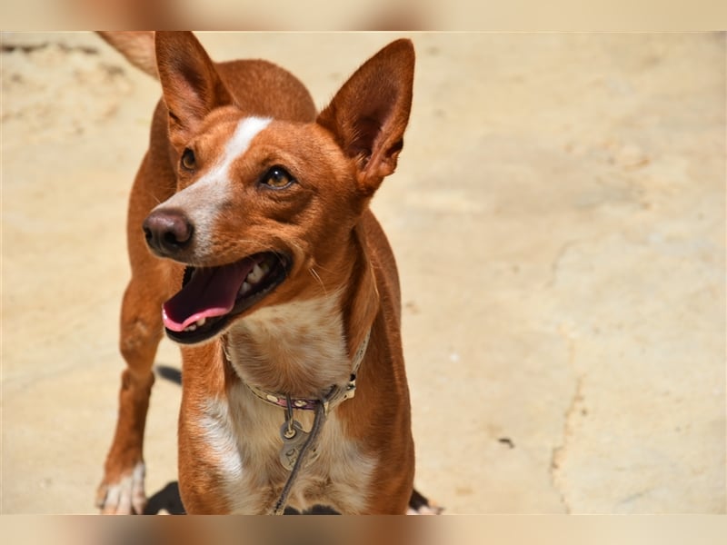 Kiriko, wer verliebt sich in ihn