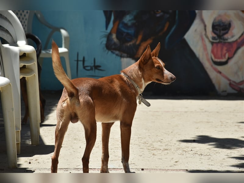 Kiriko, wer verliebt sich in ihn