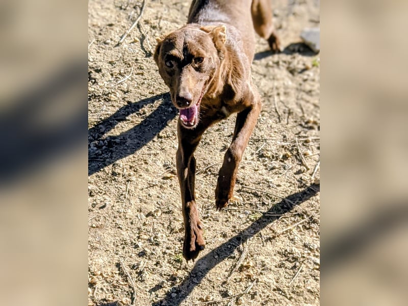 Esperanza, sucht ihr großes Glück