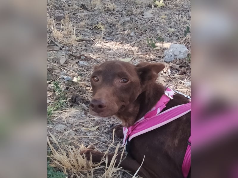 Esperanza, sucht ihr großes Glück