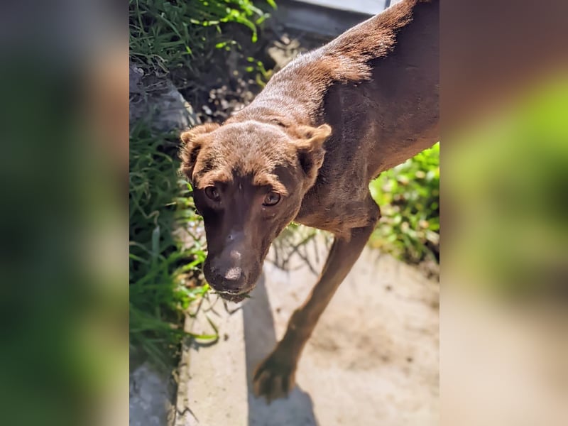 Esperanza, sucht ihr großes Glück