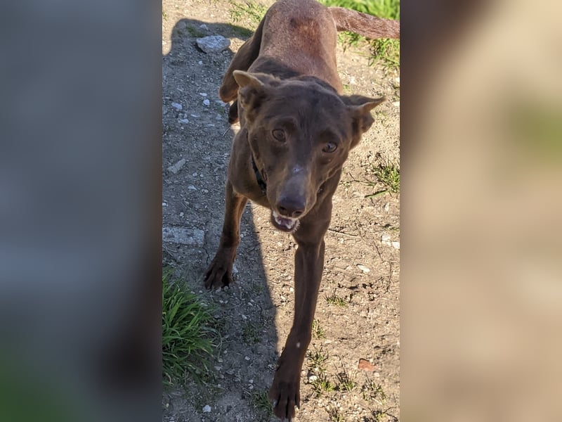 Esperanza, sucht ihr großes Glück