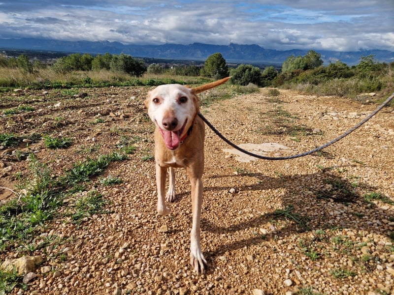 PUNI - ein Sonnenschein