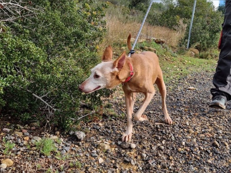 PUNI ist ein Sonnenschein