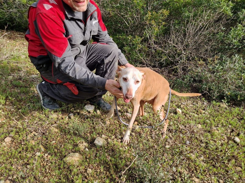 PUNI ist ein Sonnenschein