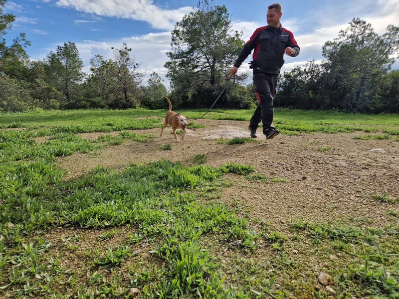 PUNI ist ein Sonnenschein