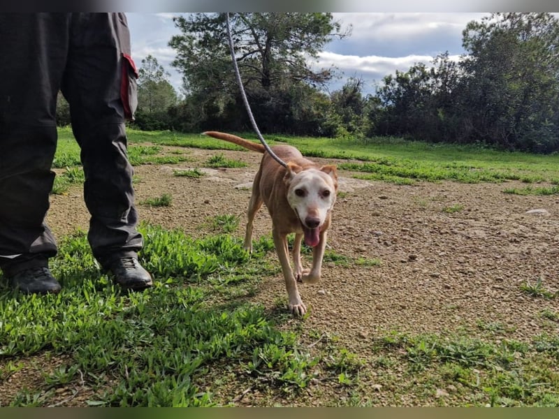 PUNI ist ein Sonnenschein