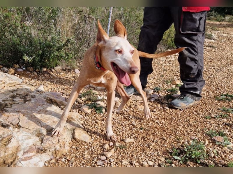 PUNI ist ein Sonnenschein