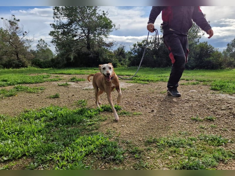 PUNI ist ein Sonnenschein