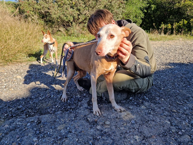 PUNI ist ein Sonnenschein