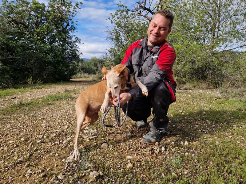 PUNI ist ein Sonnenschein