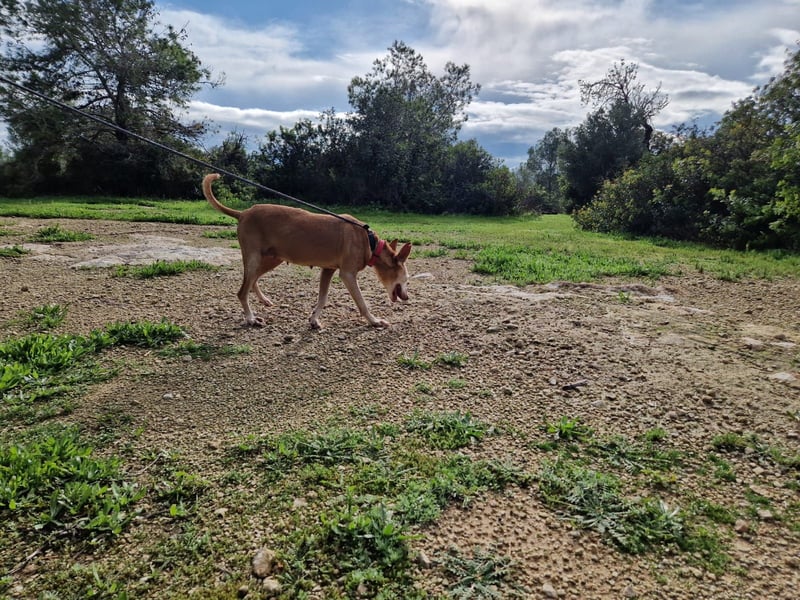 PUNI ist ein Sonnenschein