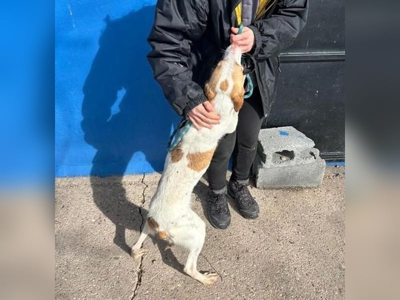 RAYOS der Menschen liebt