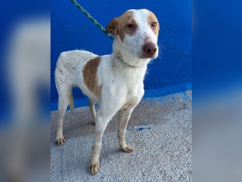 RAYOS der Menschen liebt