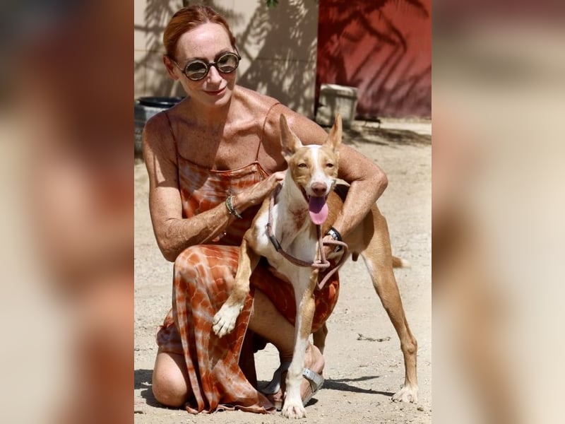 Rood, bewegungsfreudig, neugierig, freundlich