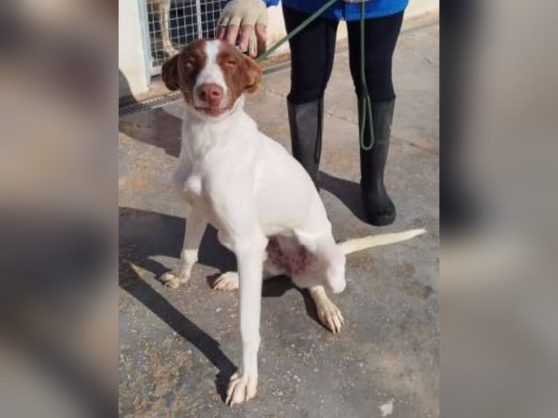 ❤️NESQUICK❤️