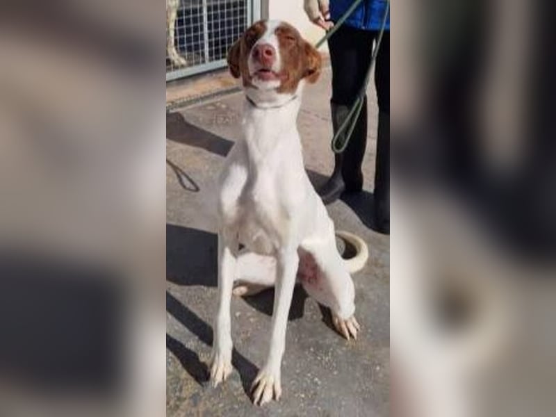 ❤️NESQUICK❤️