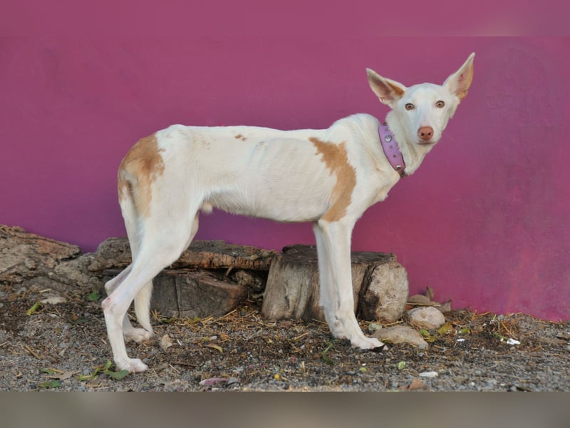 Wird Andie endlich gesehen?