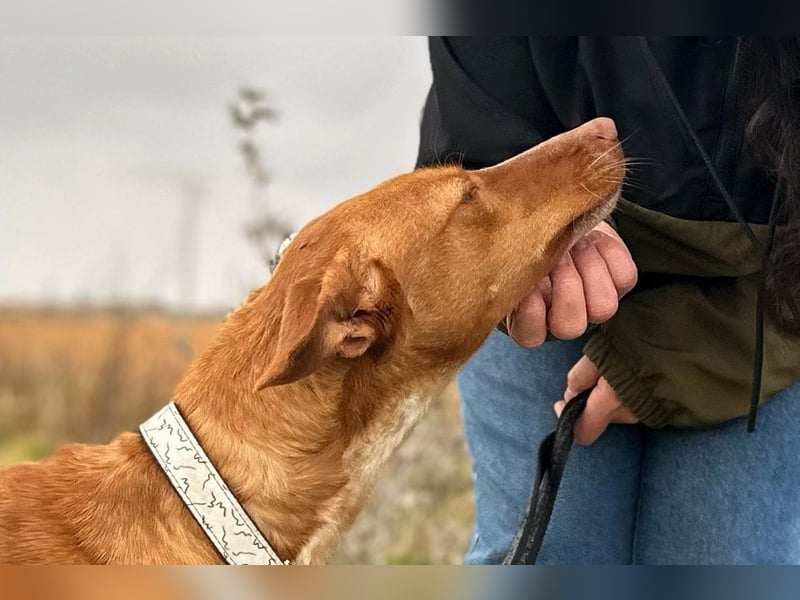 Manchuela - ein energiegeladenes Spaßpaket