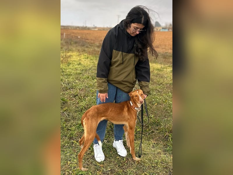 Manchuela - ein energiegeladenes Spaßpaket