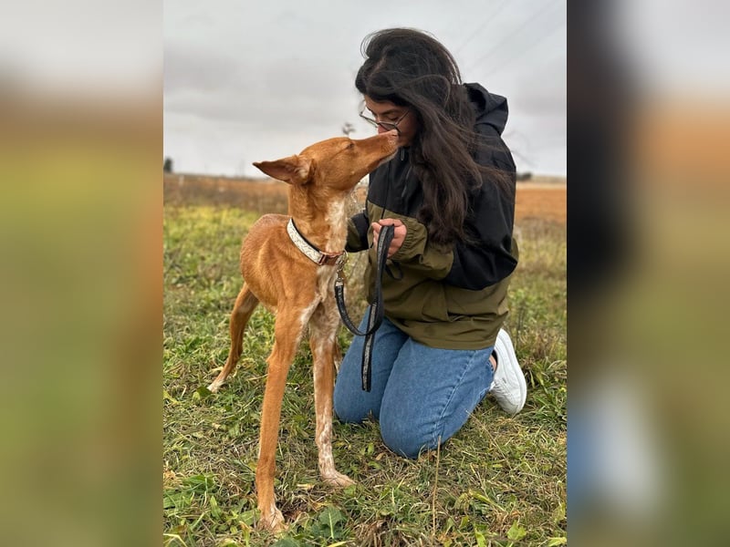 Manchuela - ein energiegeladenes Spaßpaket