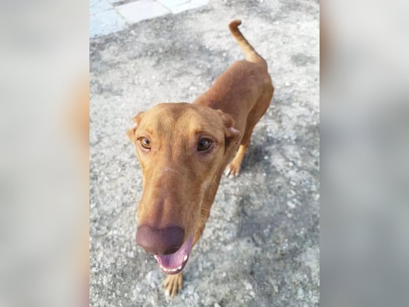 Kane, sehr menschenbezogen und sozial