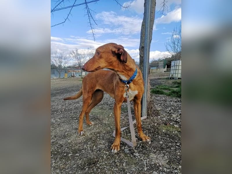 Kane, sehr menschenbezogen und sozial
