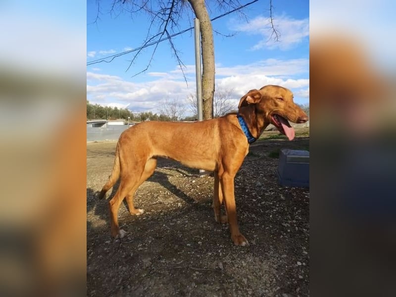 Kane, sehr menschenbezogen und sozial