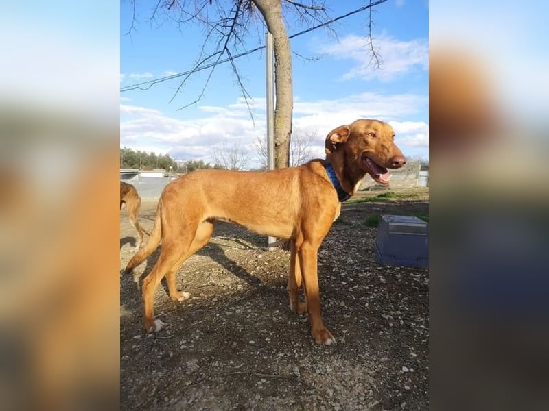 Kane, sehr menschenbezogen und sozial