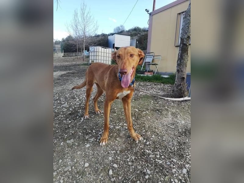 Kane, sehr menschenbezogen und sozial