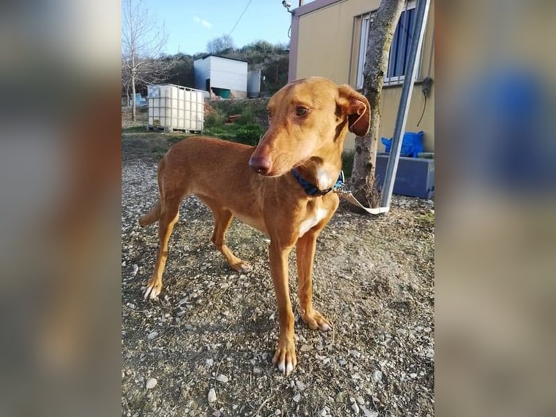 Kane, sehr menschenbezogen und sozial