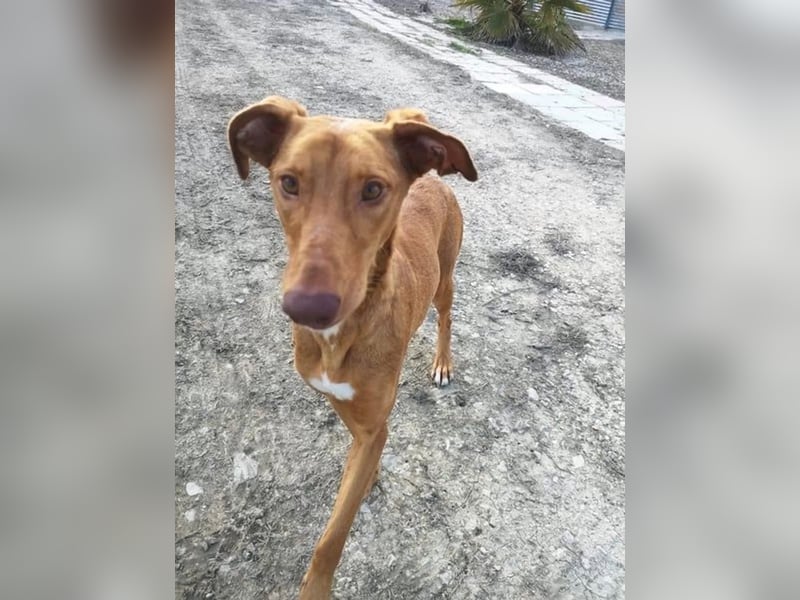 Kane, sehr menschenbezogen und sozial