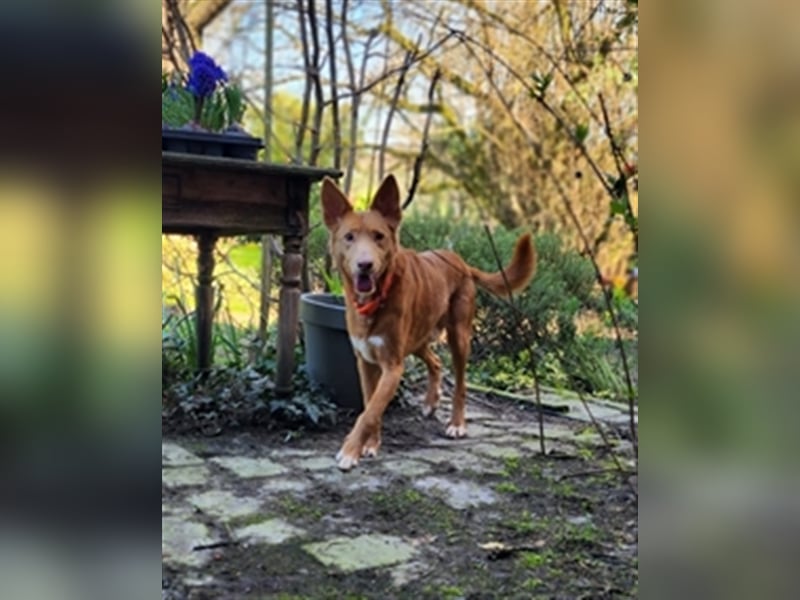 Karlchen möchte eine eigene Familie