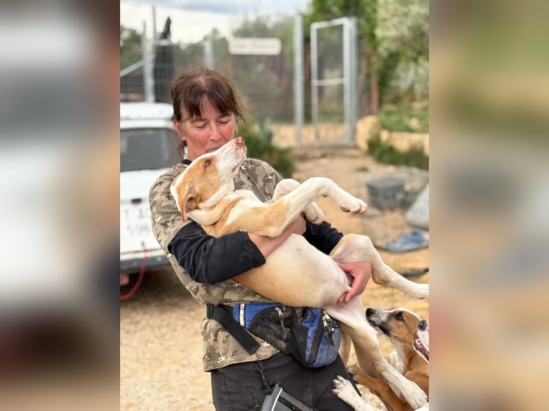 quirliger freundlicher HENRI sucht liebevolles Zuhause