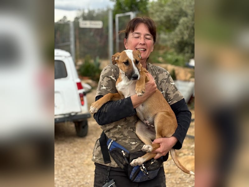 quirliger freundlicher ELMO sucht liebevolles Zuhause