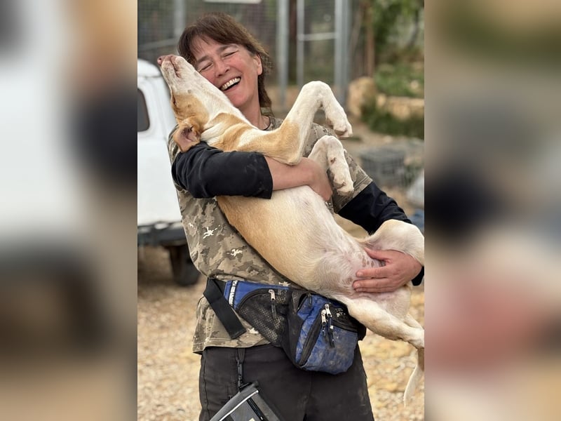 quirliger freundlicher HENRI sucht liebevolles Zuhause