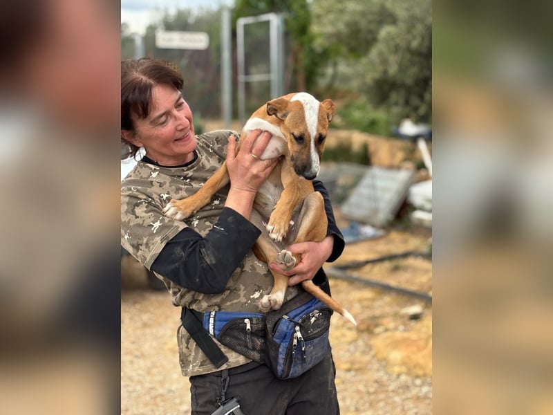 quirliger freundlicher ELMO sucht liebevolles Zuhause