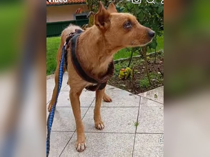 ❤️ CHICO ❤️
