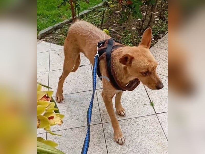 ❤️ CHICO ❤️