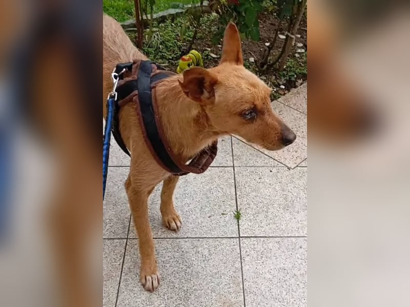 ❤️ CHICO ❤️