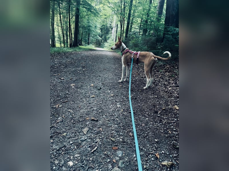 Frodo ein toller Kerl !