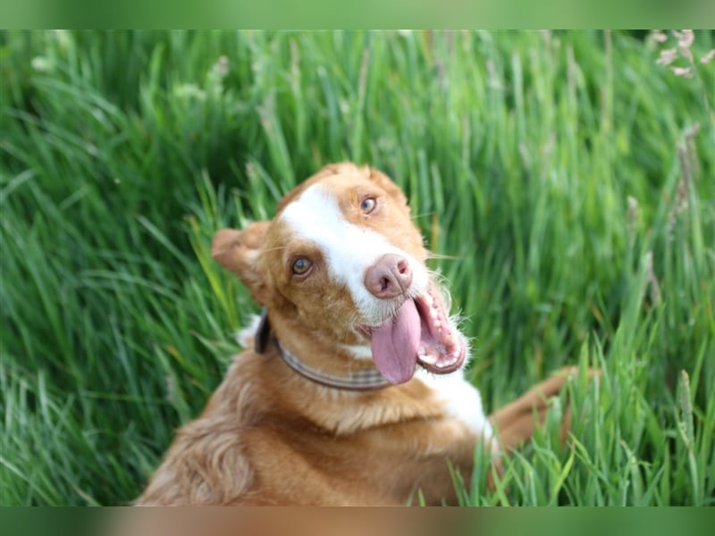 Foxy (D) liebt ganz besonders Männer