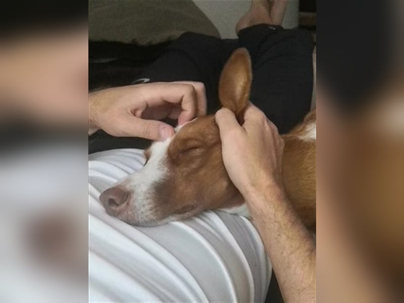 Foxy (D) liebt ganz besonders Männer