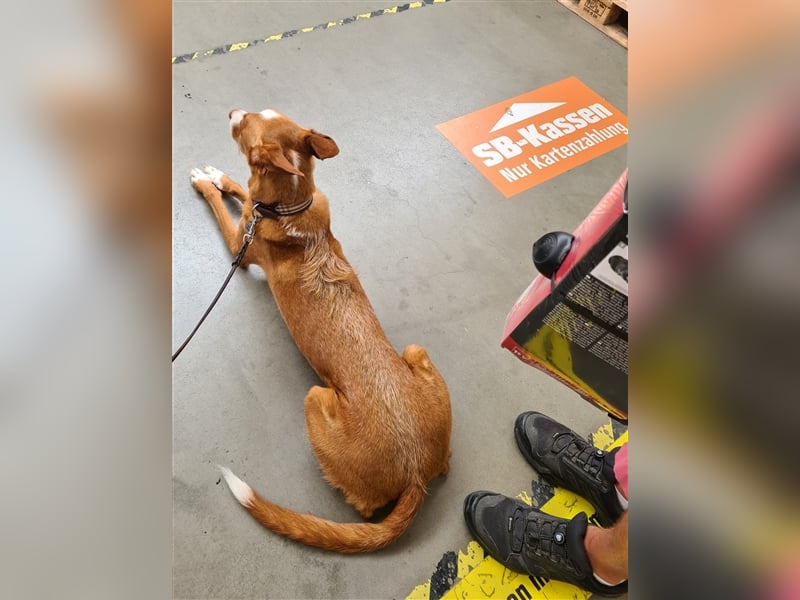 Foxy (D) liebt ganz besonders Männer